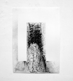 A series of nine drawings entitled Absence and Presence 2012 charcoal dust and compressed charcoal on acid free Arches paper by Jane Boyd