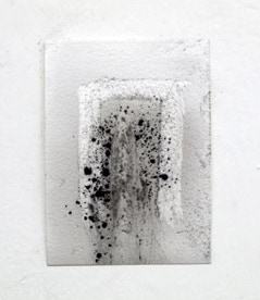 Jane Boyd,series,nine drawings,Absence and Presence, 2012,charcoal dust,compressed charcoal,acid free,Arches paper 
