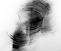 Drawings on acid free Arches paper in charcoal, ink, pencil by Jane Boyd