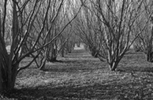 light-based,installations,site-specific,Jane Boyd