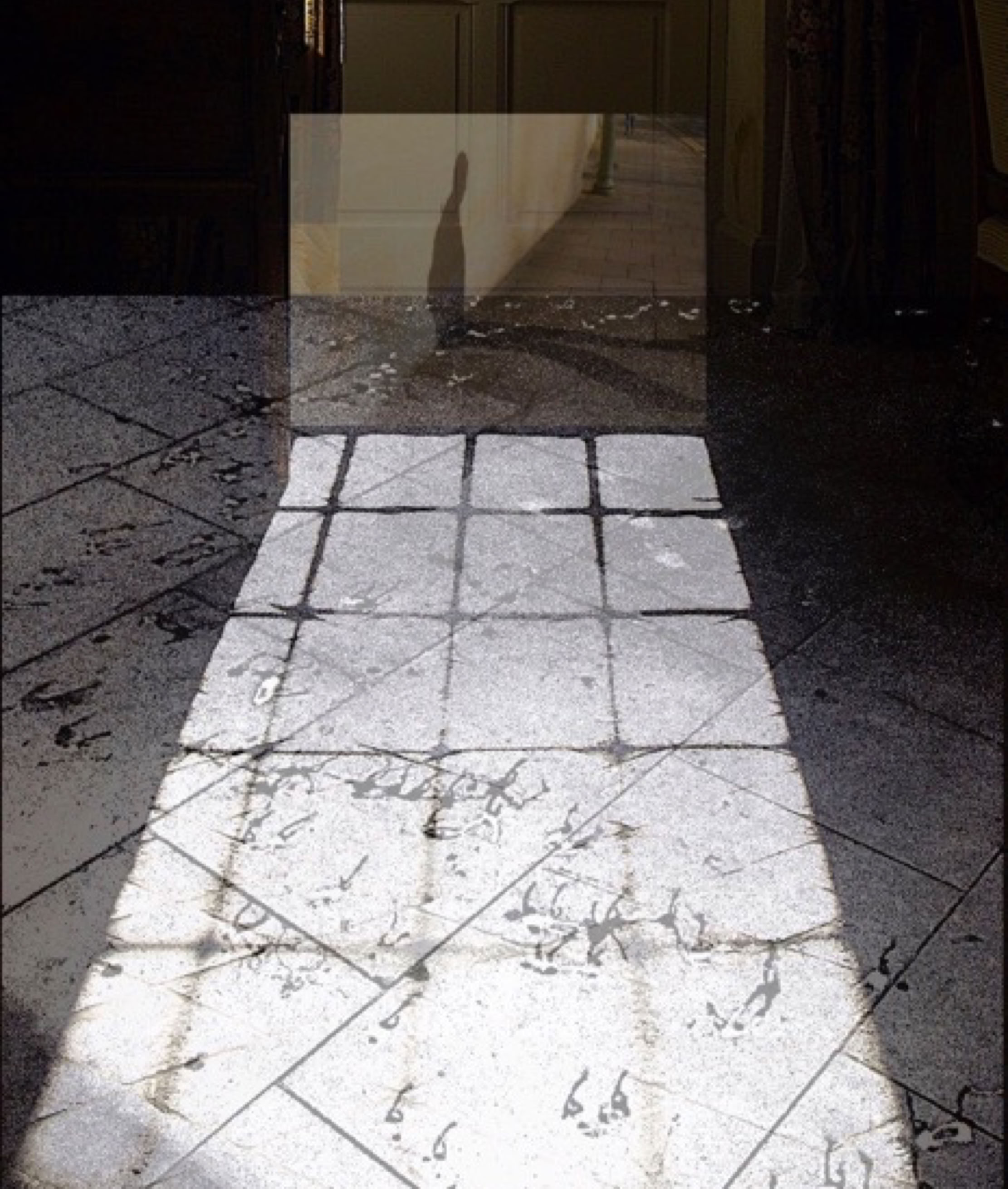 Jane Boyd,prints,artist,Stepping in and Out,Dark Passing,2018