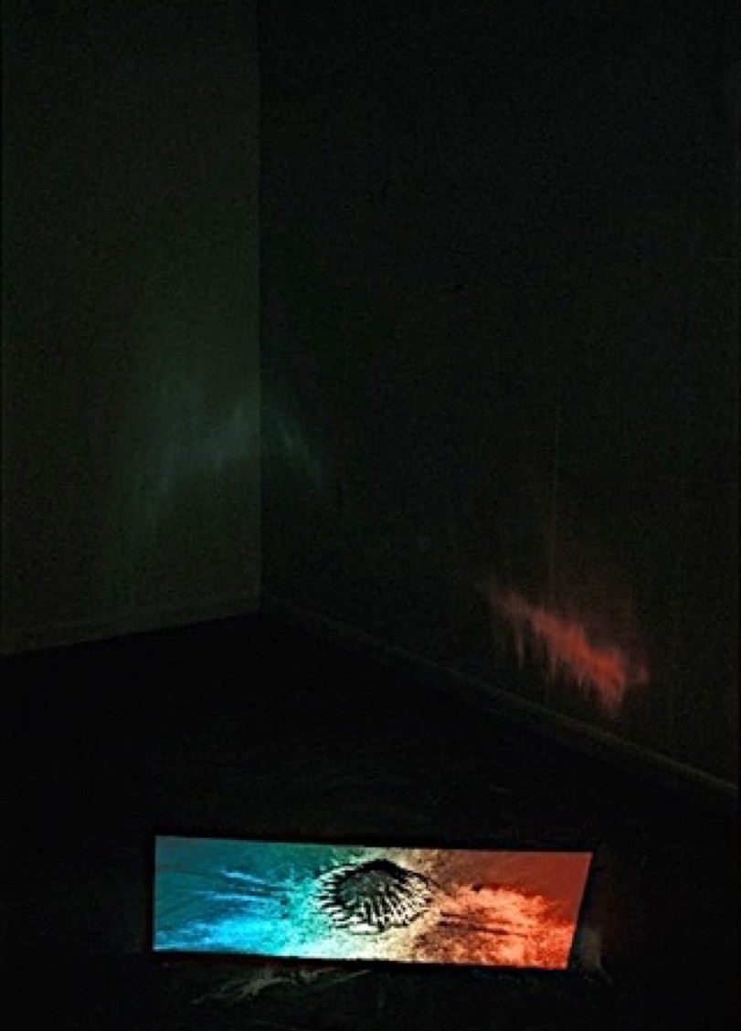 Echo 1993 plastic charcoal powder plaster dust projected slide installation by Jane Boyd 