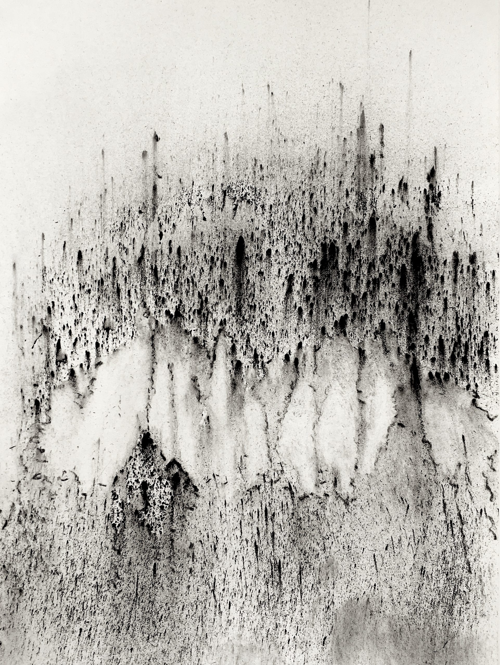 Jane Boyd,drawings,artist,Vibration,2013,charcoal dust,Arches paper