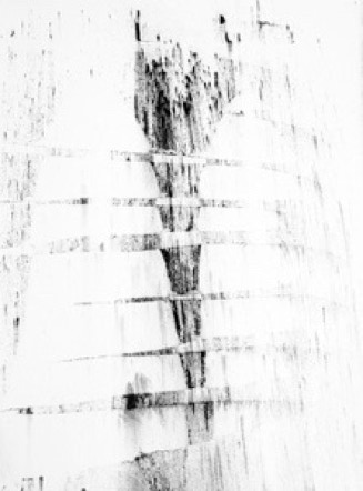 Oneness study ii 2011 charcoal on Arches paper by Jane Boyd