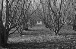 light-based,installations,site-specific,Jane Boyd